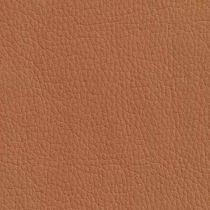 Ткань экокожа - Oregon 06