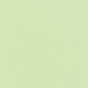 Ткань экокожа - Oregon 04