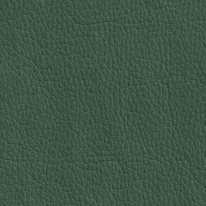 Ткань экокожа - Oregon 01